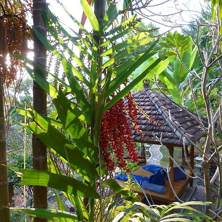 Sananda Bungalow Lovina Екстериор снимка