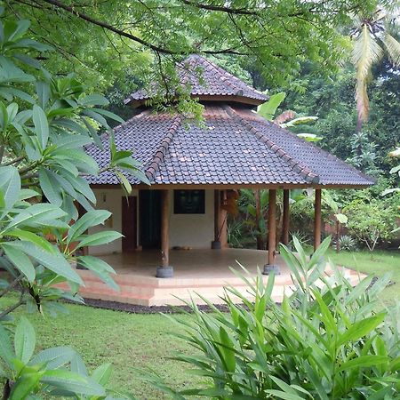 Sananda Bungalow Lovina Екстериор снимка