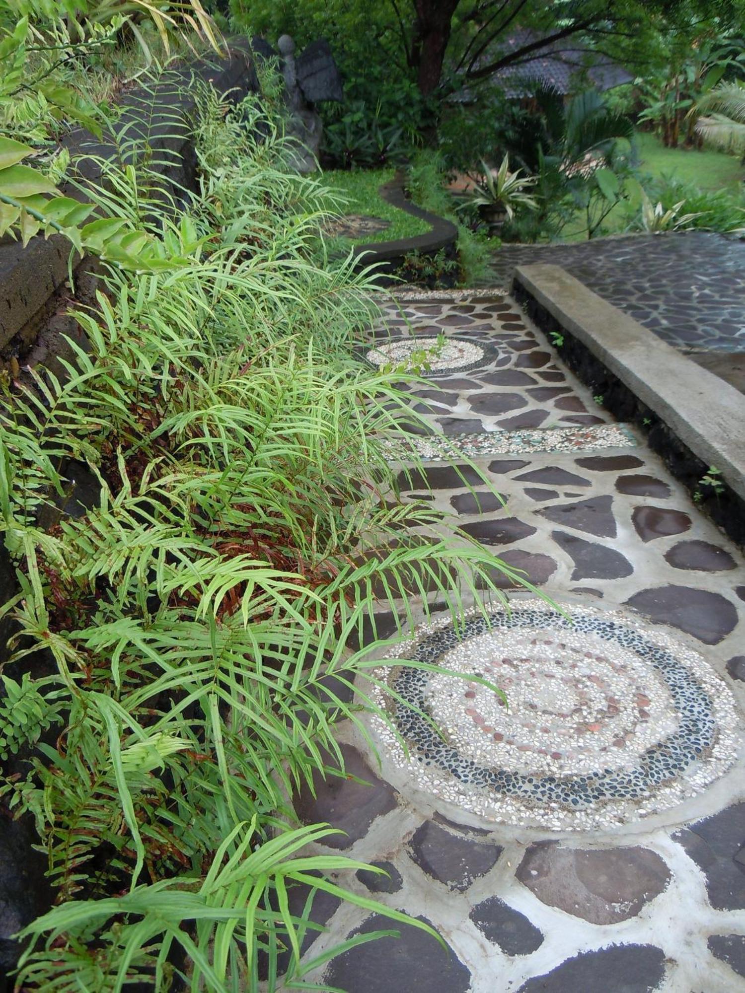 Sananda Bungalow Lovina Екстериор снимка