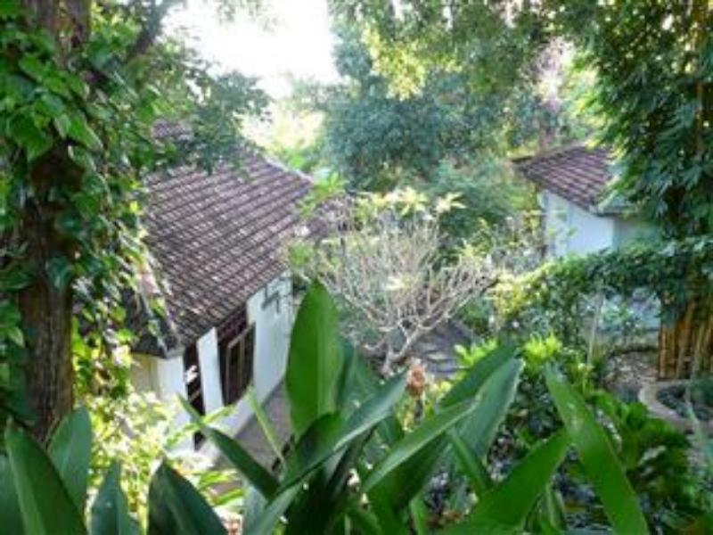 Sananda Bungalow Lovina Екстериор снимка