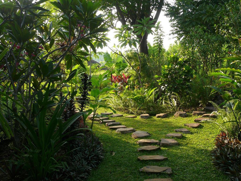 Sananda Bungalow Lovina Екстериор снимка