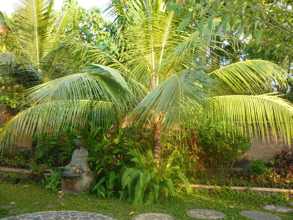 Sananda Bungalow Lovina Екстериор снимка